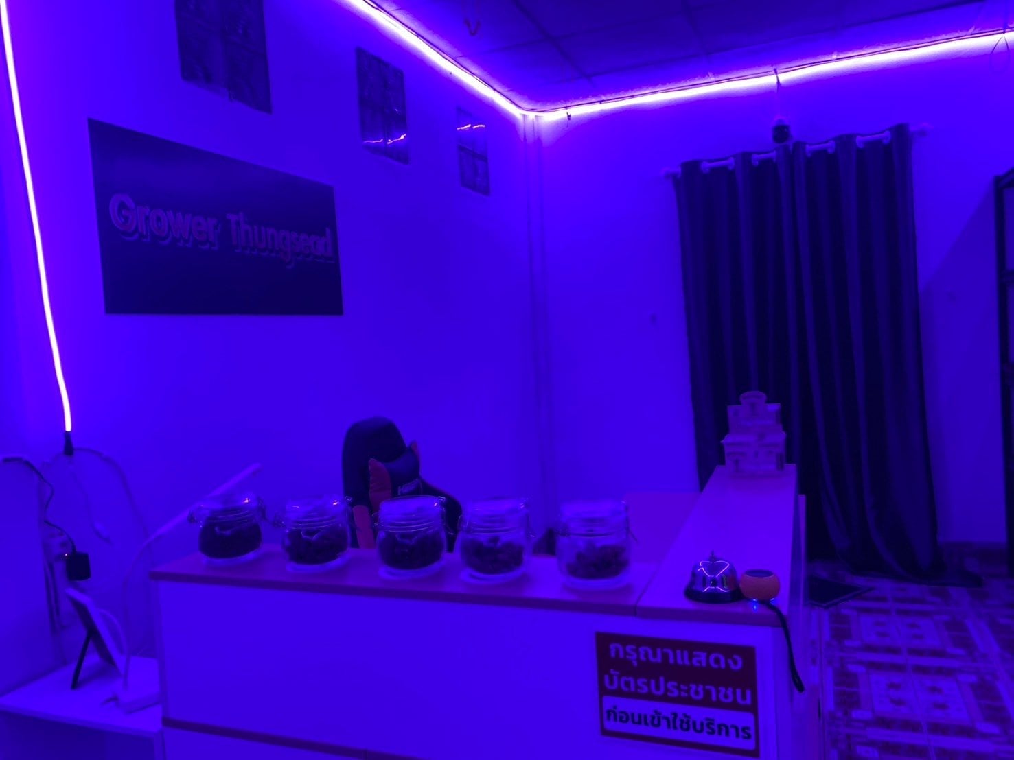 Grower Thungsead Marijuana