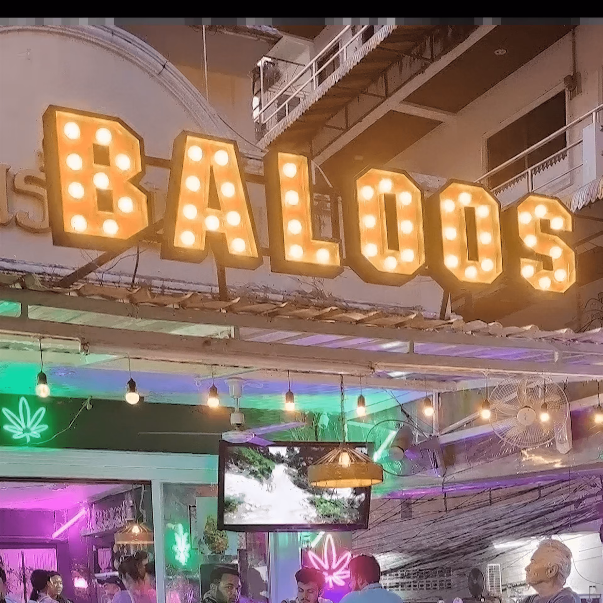 Cannabis Dispensary Baloo's Coffeeshop in Patong logo