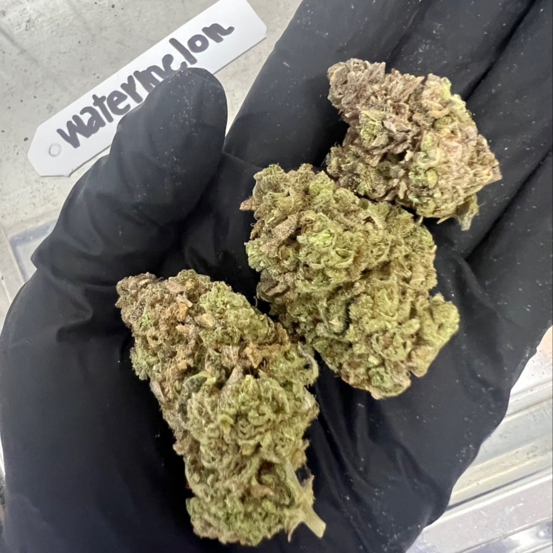 V High THC Cannabis Farm