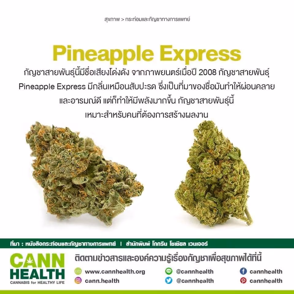 Cannabis Dispensary 87 Cannabis logo
