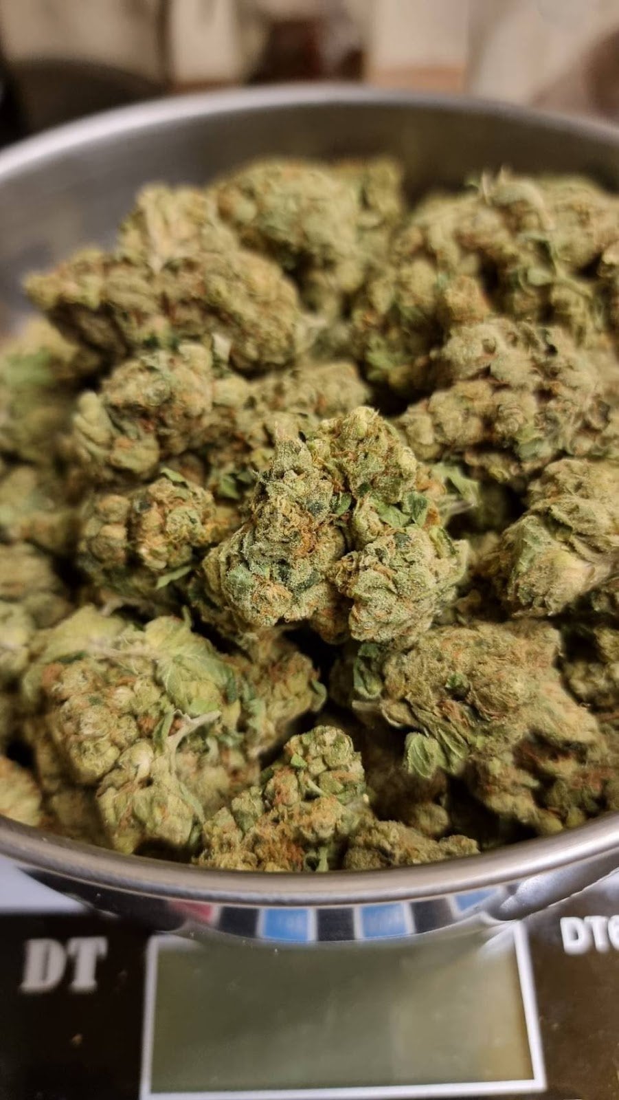 Impala64 Cannabis Dispensary Shop Kad Farang