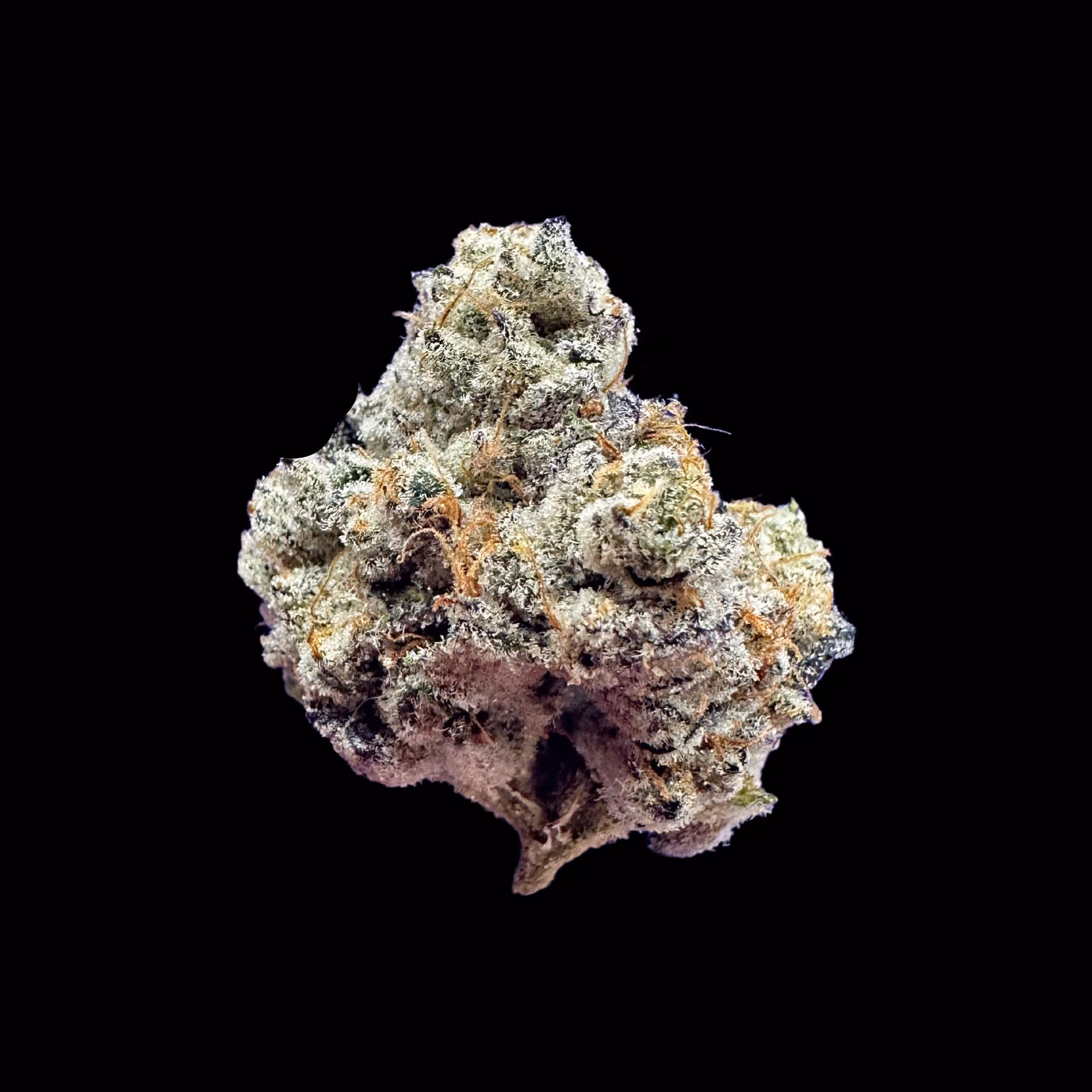 Cannabis Dispensary Wonderfarm Cannabis in Chiang Rai logo