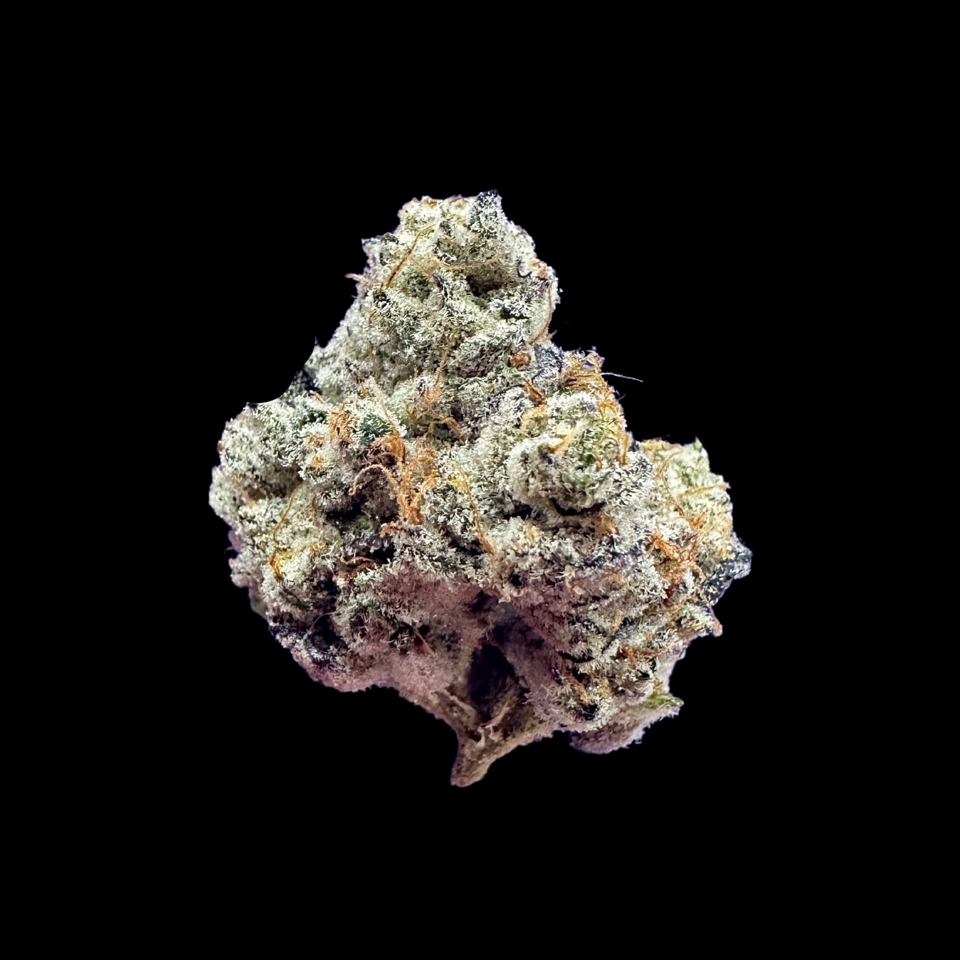 Cannabis-Shop Wonderfarm Cannabis Logo