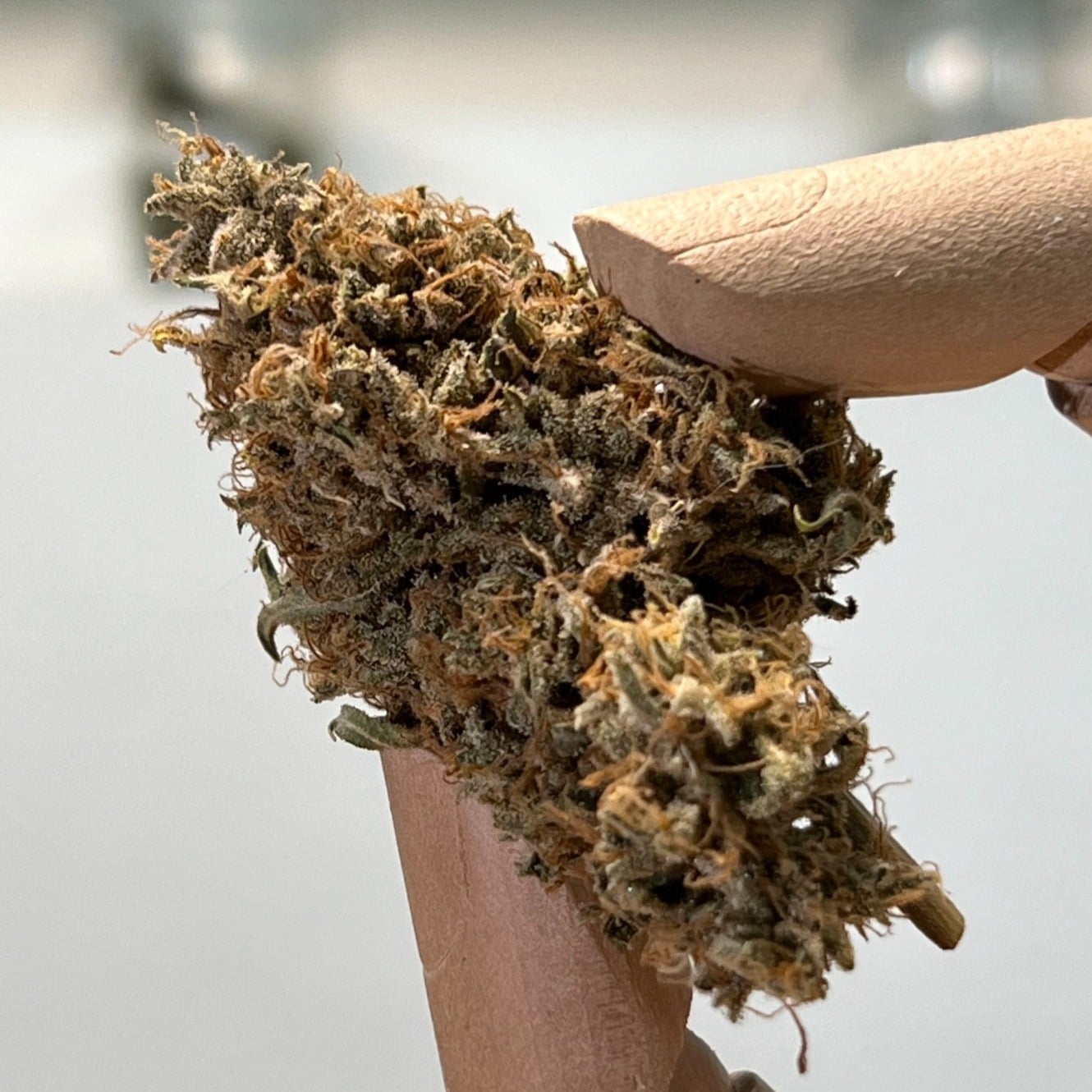 Weed Shop By Yield Lab