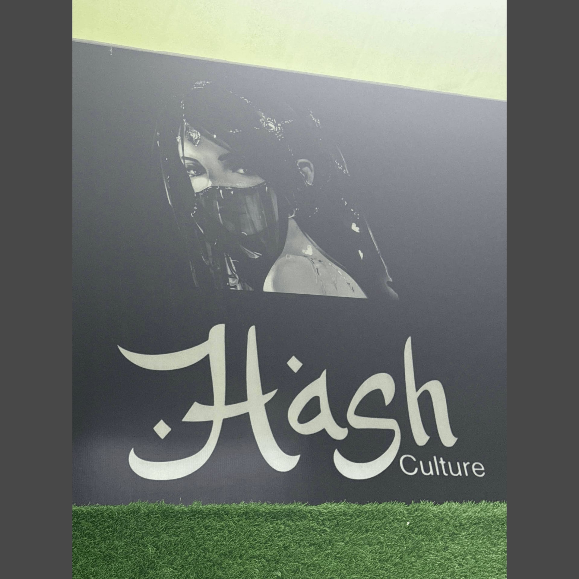 Cannabis Dispensary Hash Culture Pattaya logo