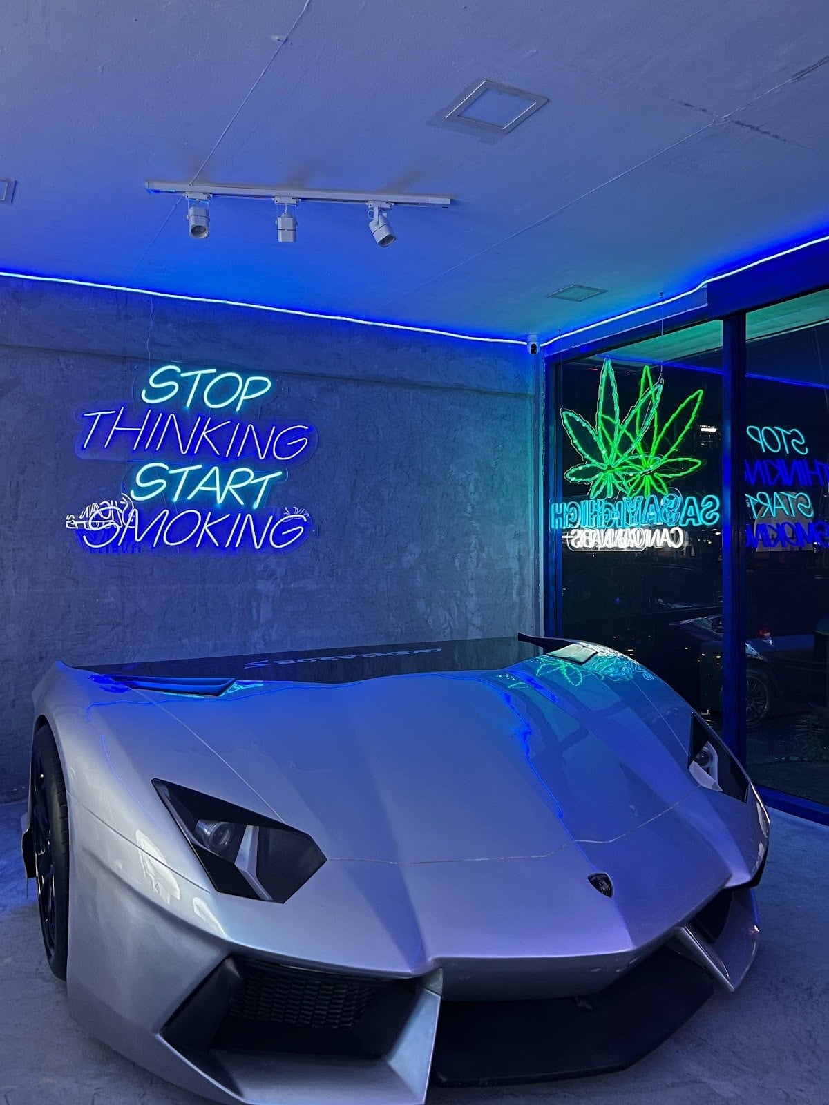 Sayhigh Cannabis Future Klong 1 - 1