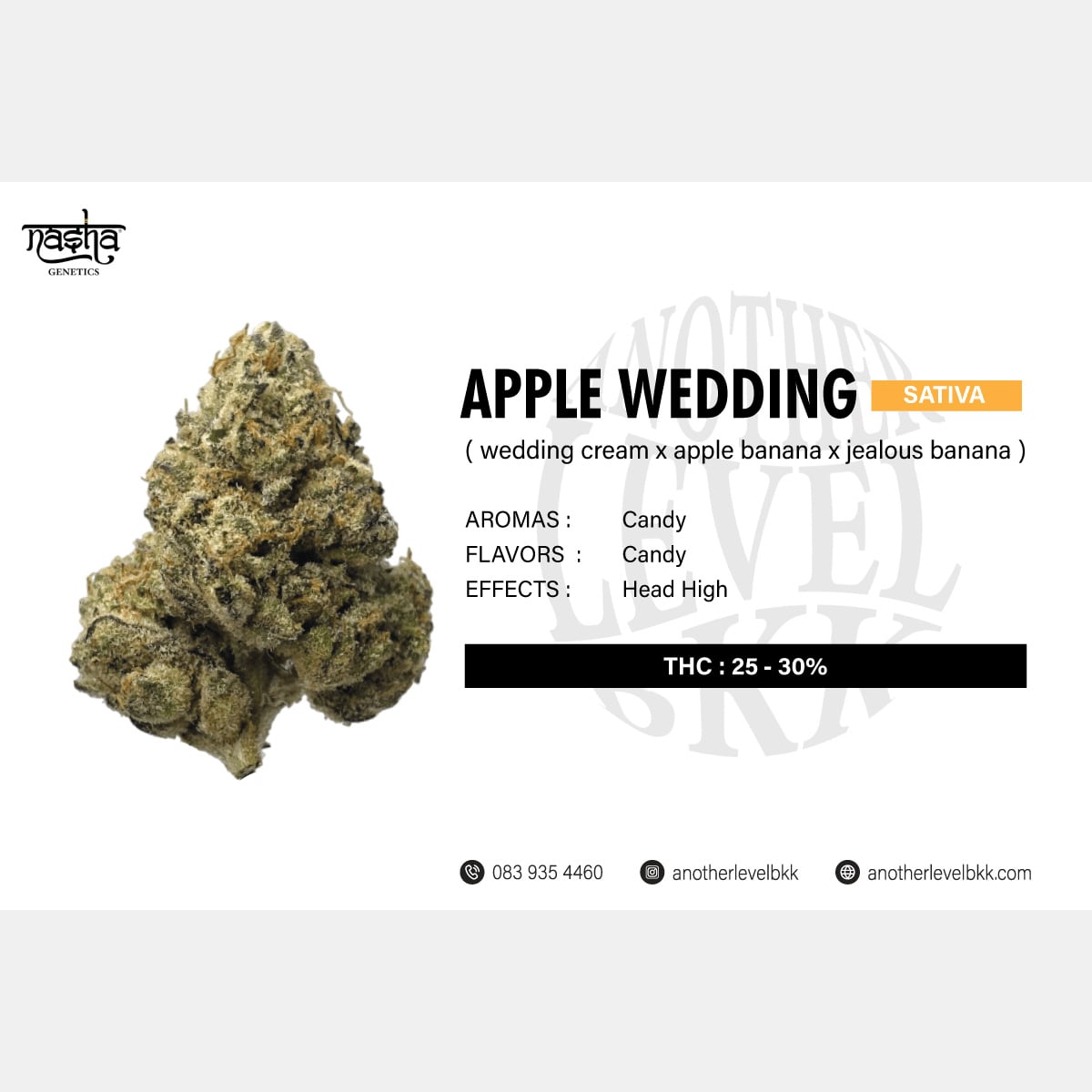 Cannabis Dispensary ANOTHERLEVELBKK in Bangkok logo