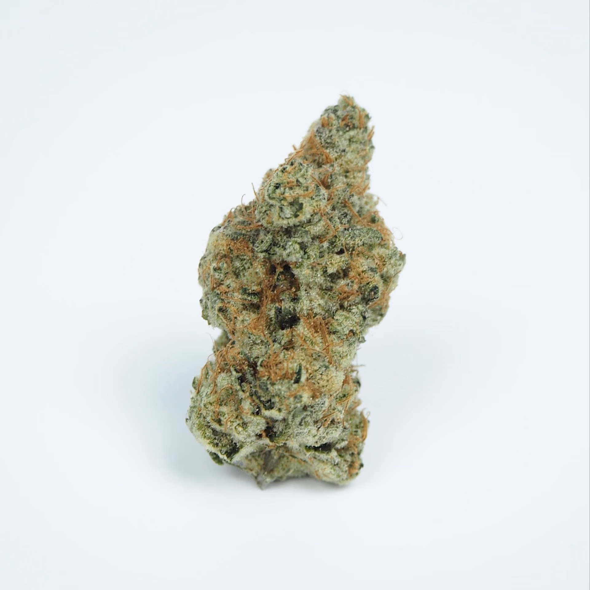 Chiang Maiの大麻ショップ Green Machine CNX ロゴ
