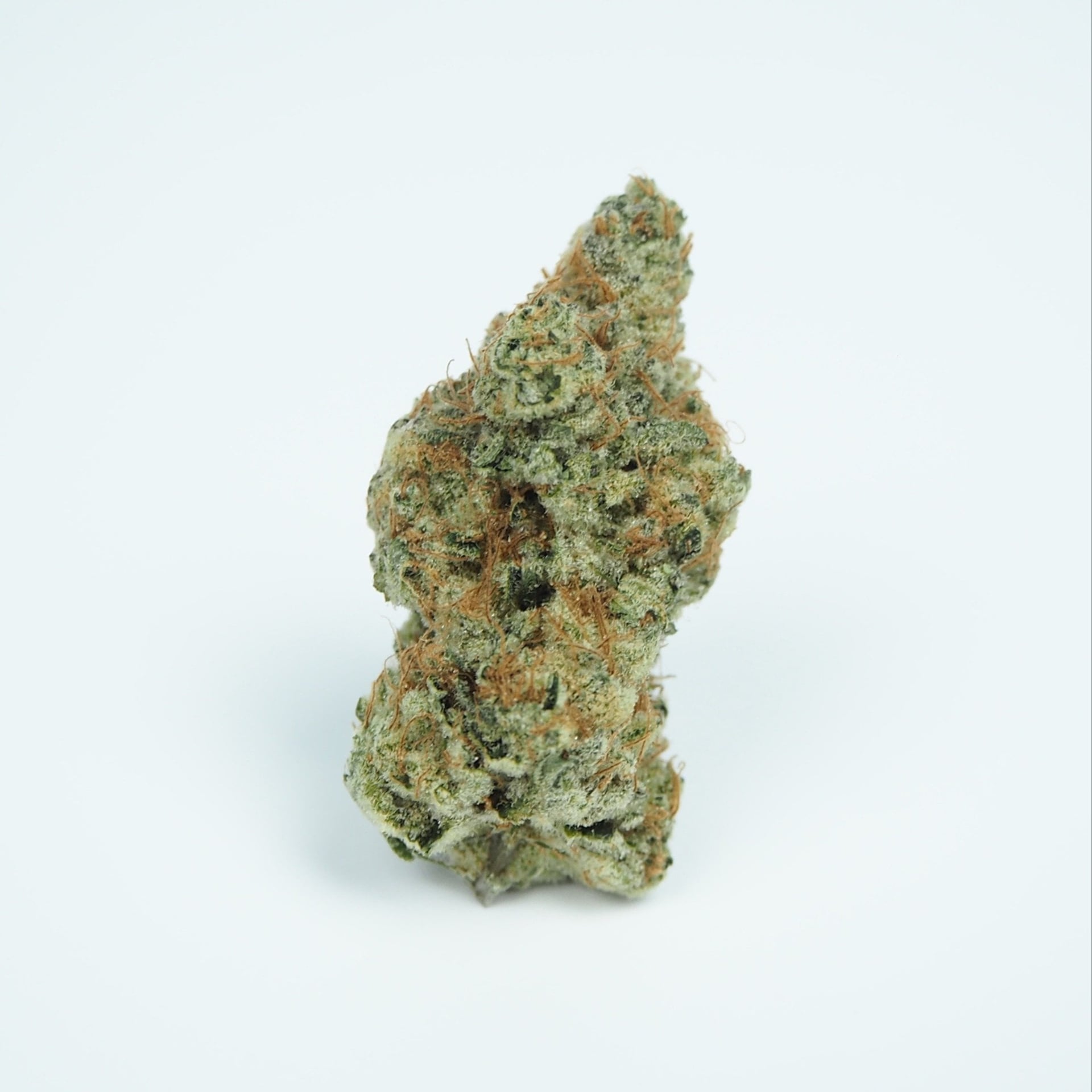 Cannabis Dispensary Green Machine CNX in Chiang Mai logo