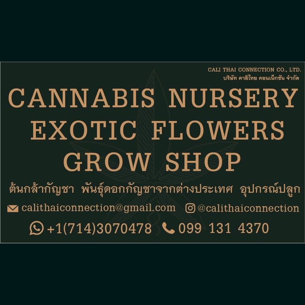 Cannabis Dispensary CaliThaiConnection logo