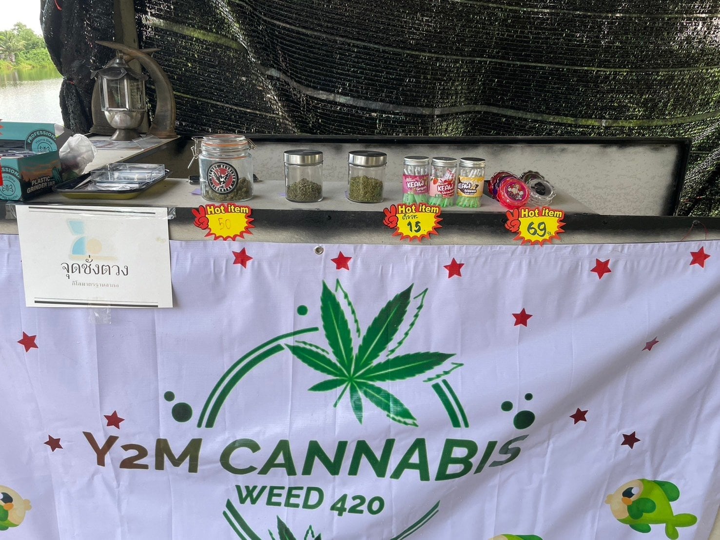 Y2m Cannabis Weed
