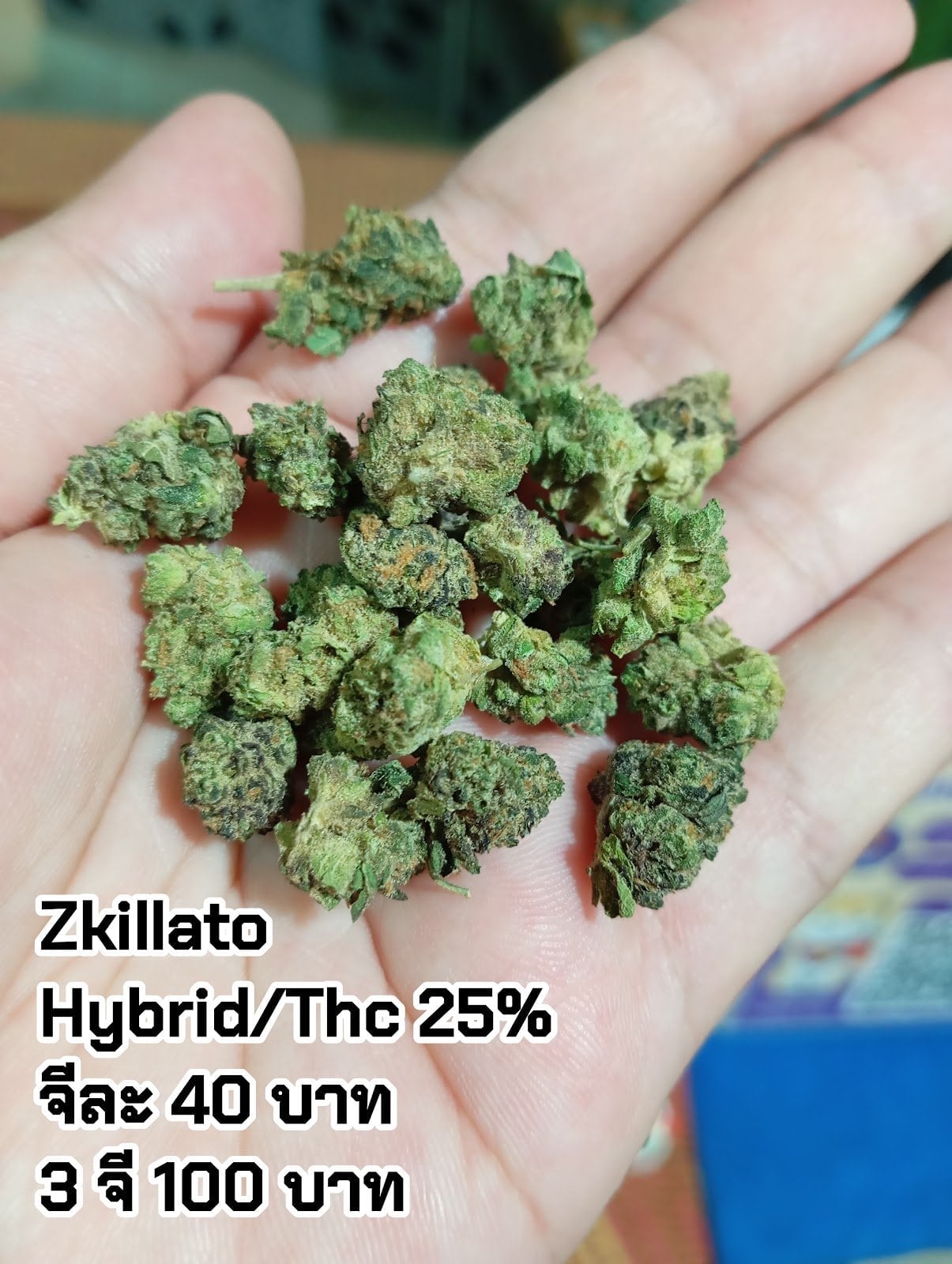 Bigbear Cannabis