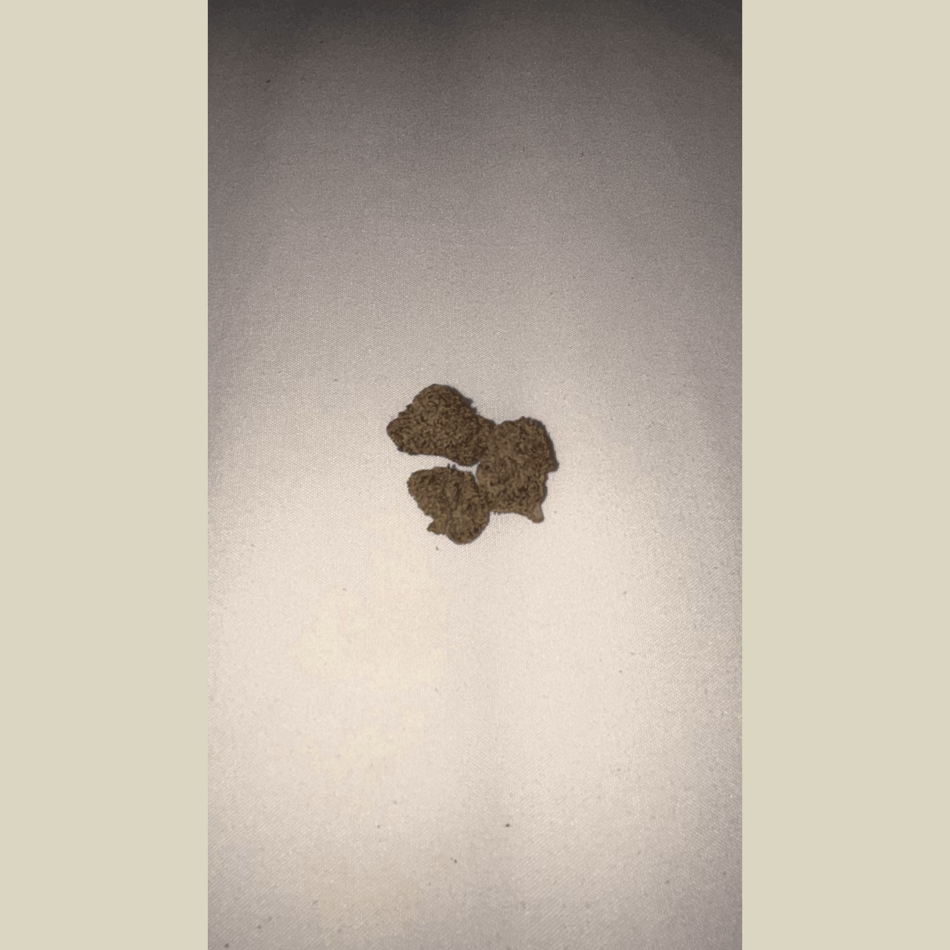 Cannabis Dispensary Stoner Island in Ko Samui logo