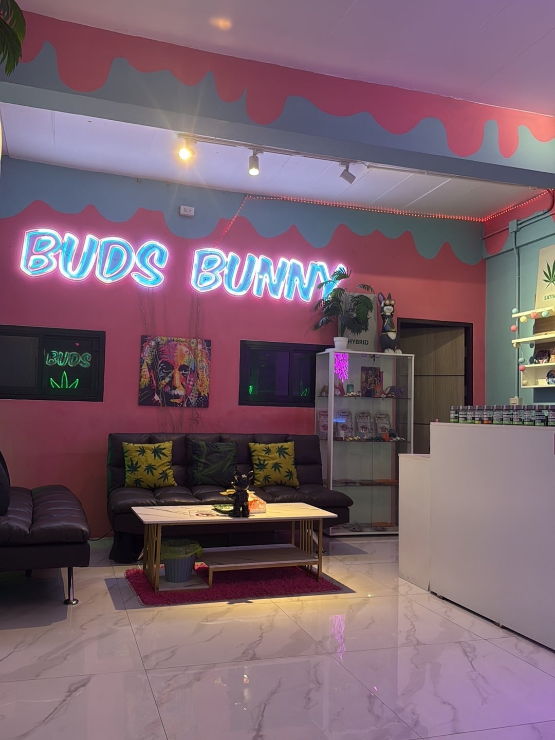 Buds Bunny Cannabis