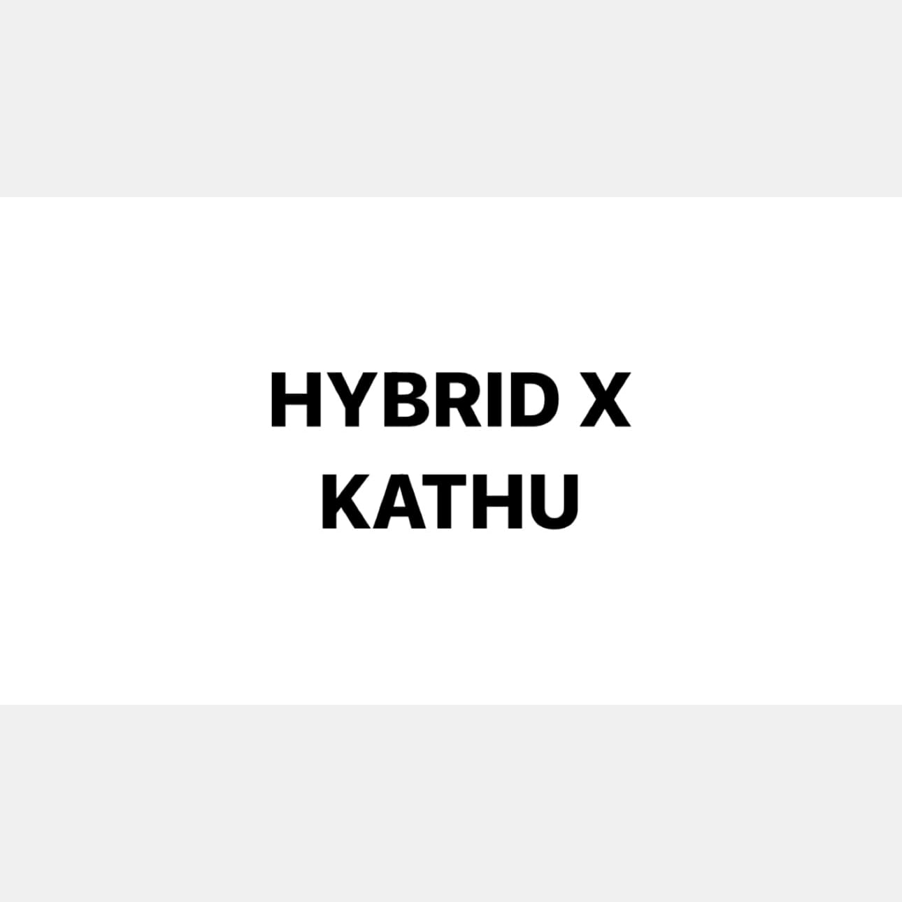 Cannabis Dispensary Hybrid X in Phuket logo