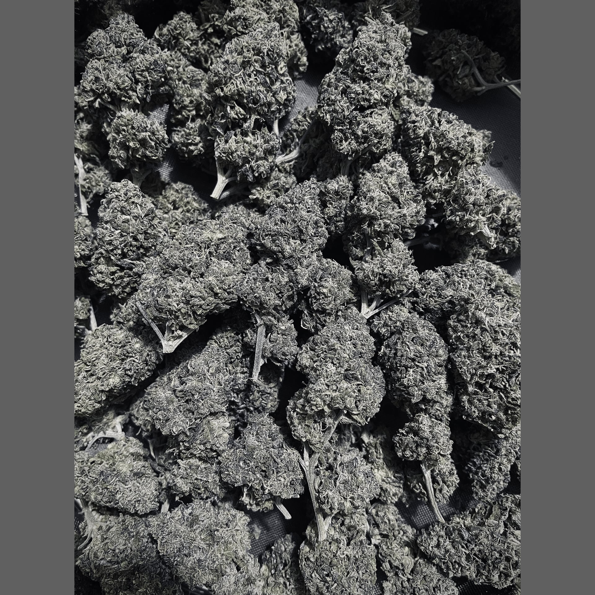 Dispensaire de cannabis Superbud logo