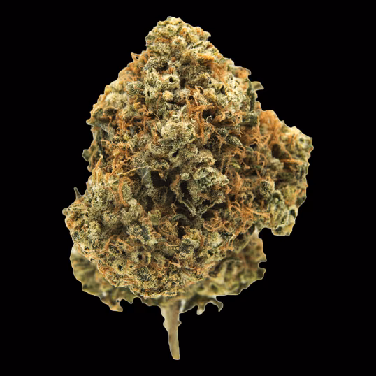 Cannabis Dispensary P Cannabis logo