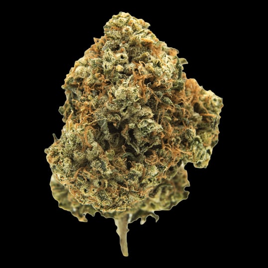 Cannabis Dispensary P Cannabis in Phuket logo