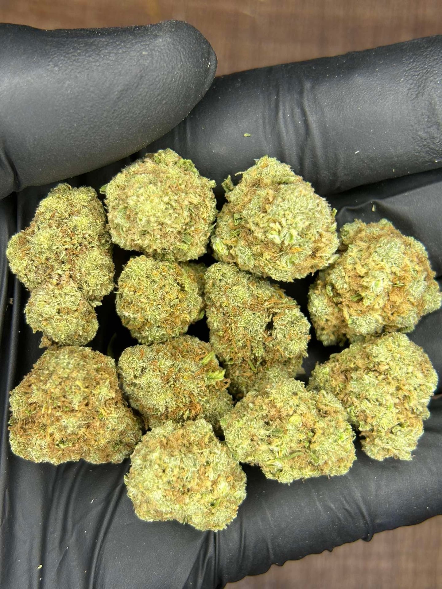 Tha Bo Greenery Ganja Farm