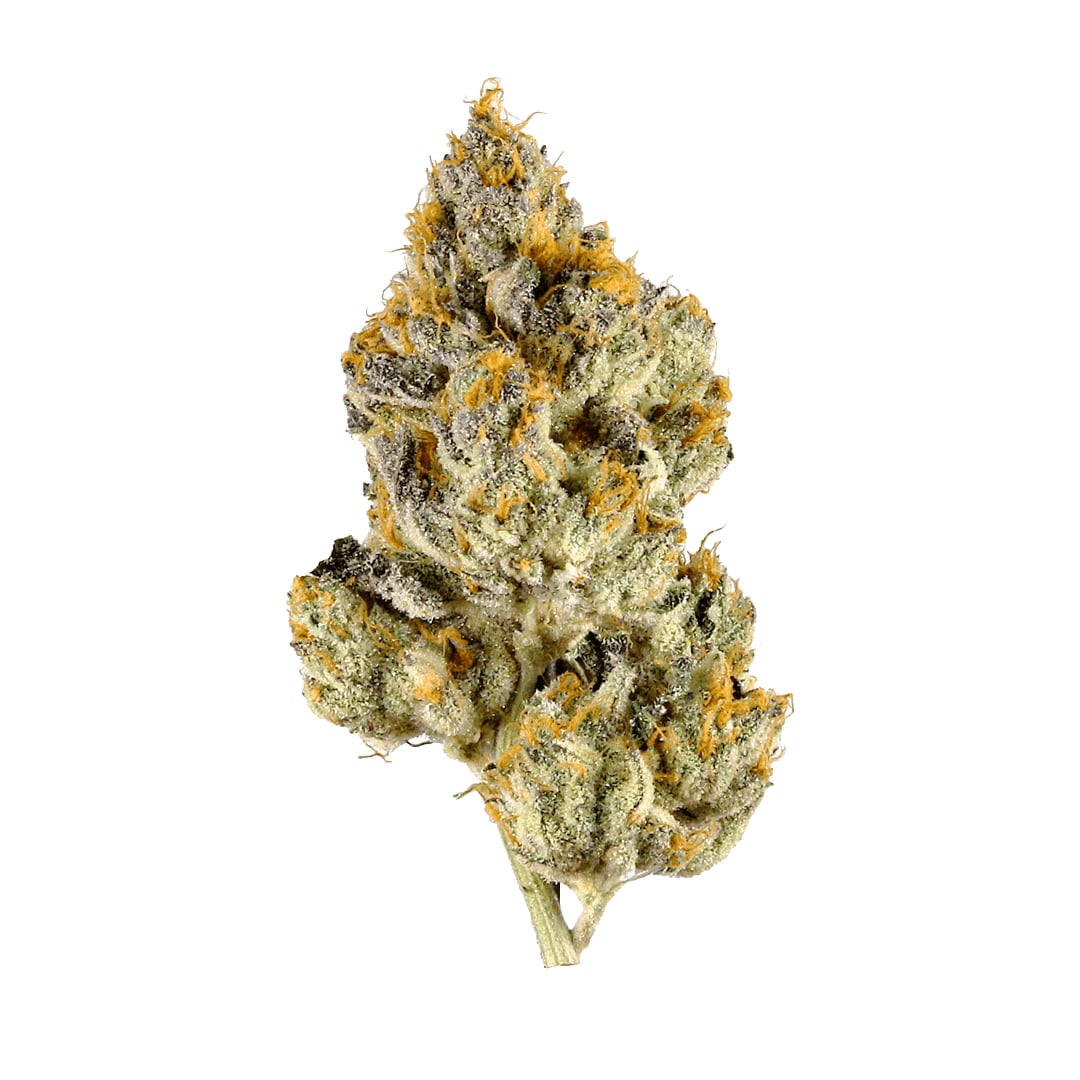 Exotic Dispensary