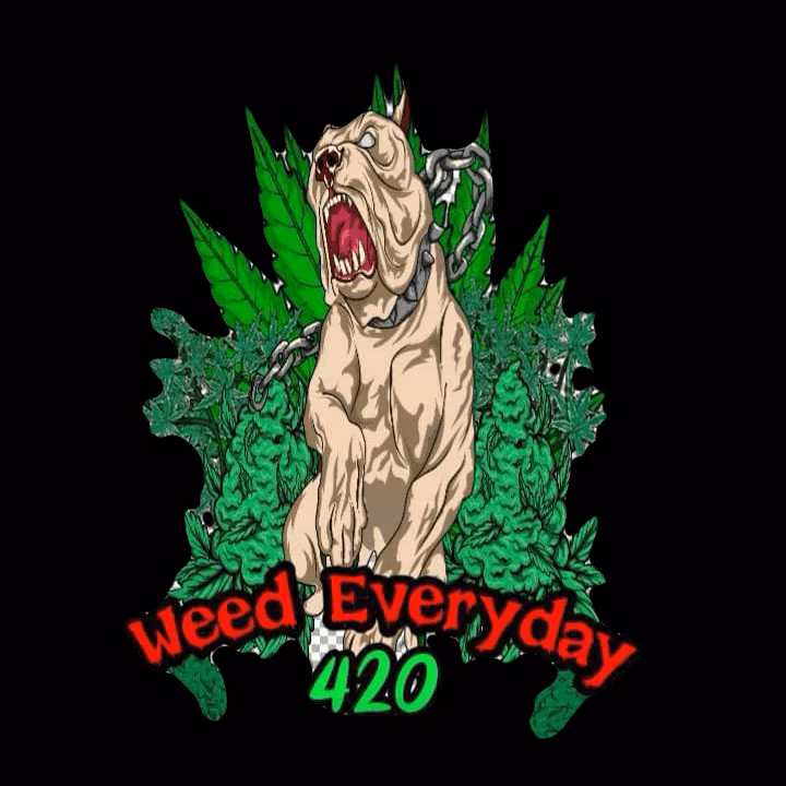 Cannabis-Shop Weed EveryDay Logo