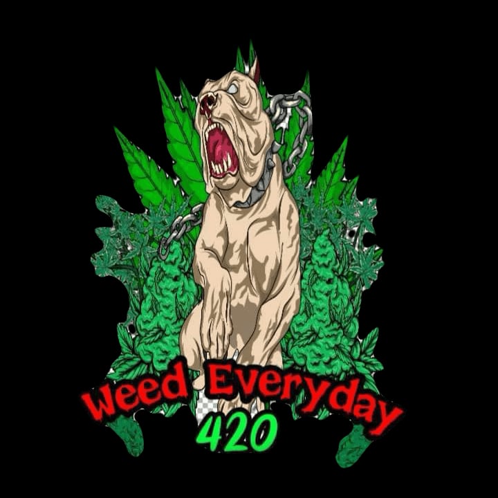 Cannabis-Shop Weed EveryDay Logo