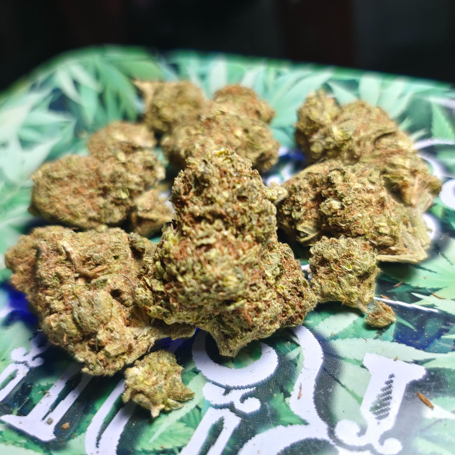 King Weeds-cannabis