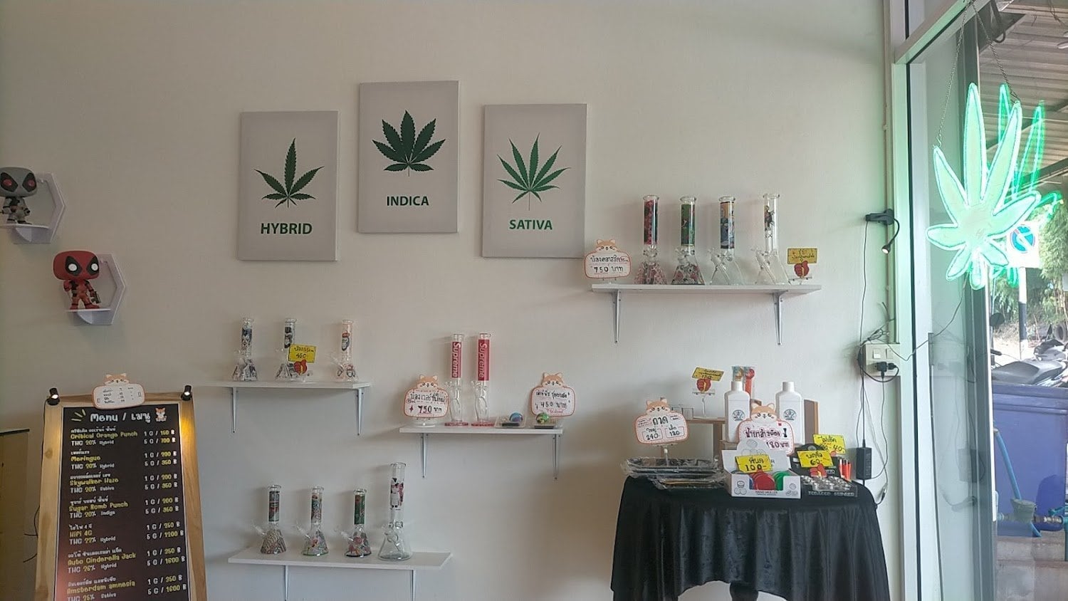 Hydroponic Cannabis Weed)