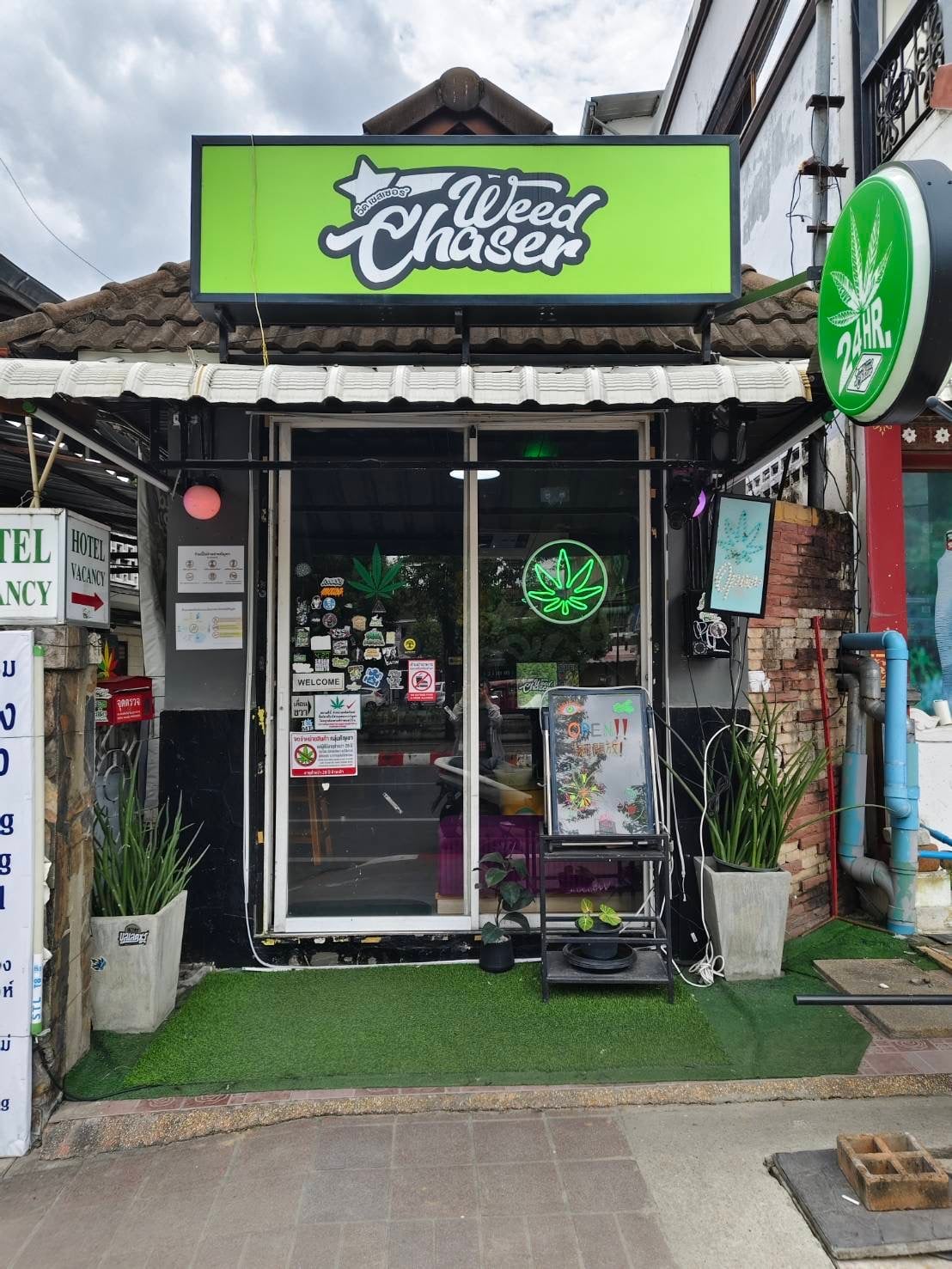 GoGreen Bar - Weed Shop & Cannabis