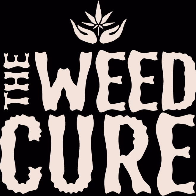 Cannabis Dispensary Salus Samui Taling Ngam logo