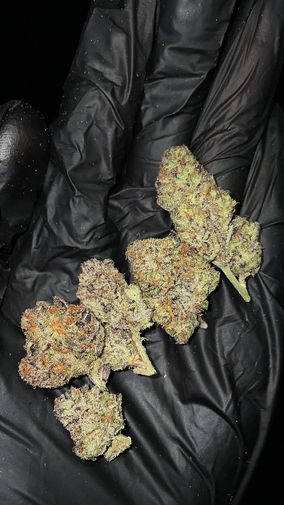Zhuhook Weed
