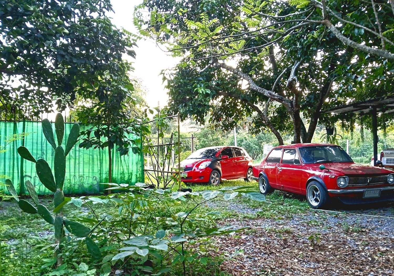 Green_Area