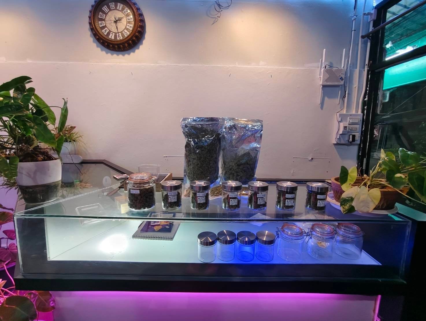 Lion Cannabis