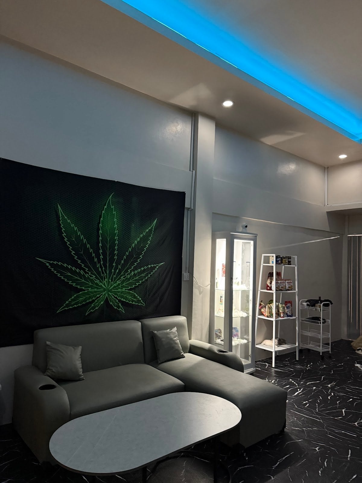 THCDM Weed Shop & Drinks