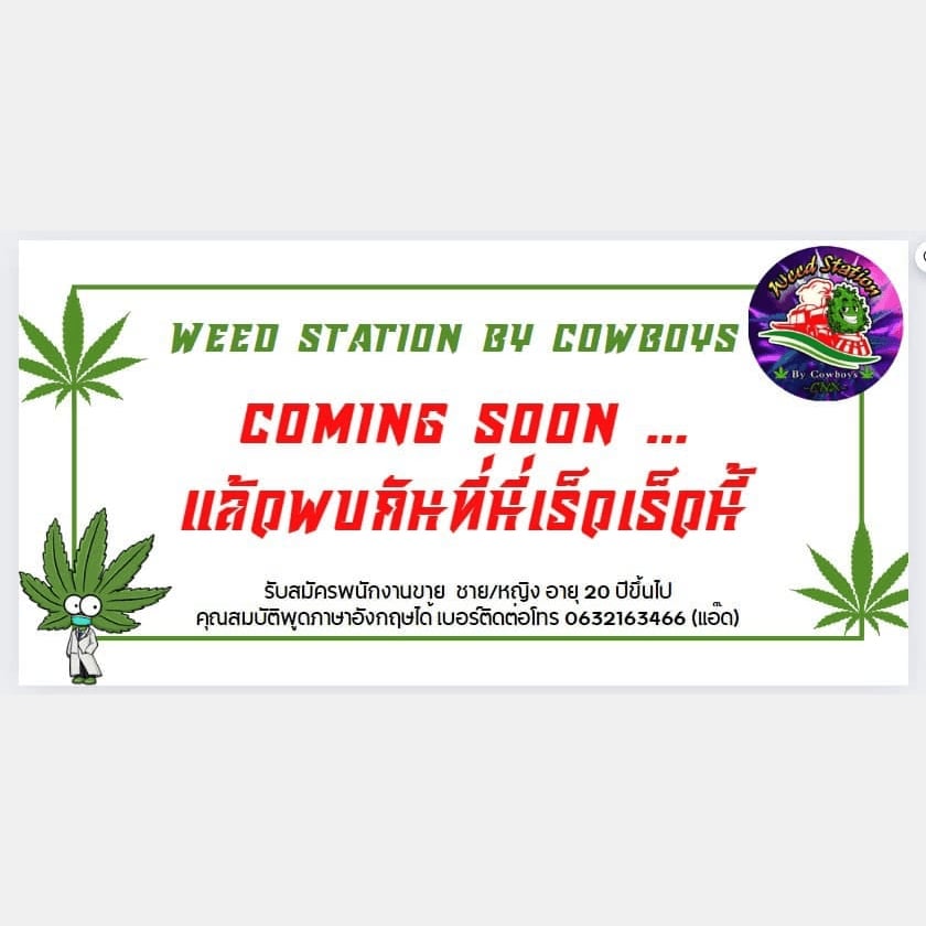 Weed Station logo