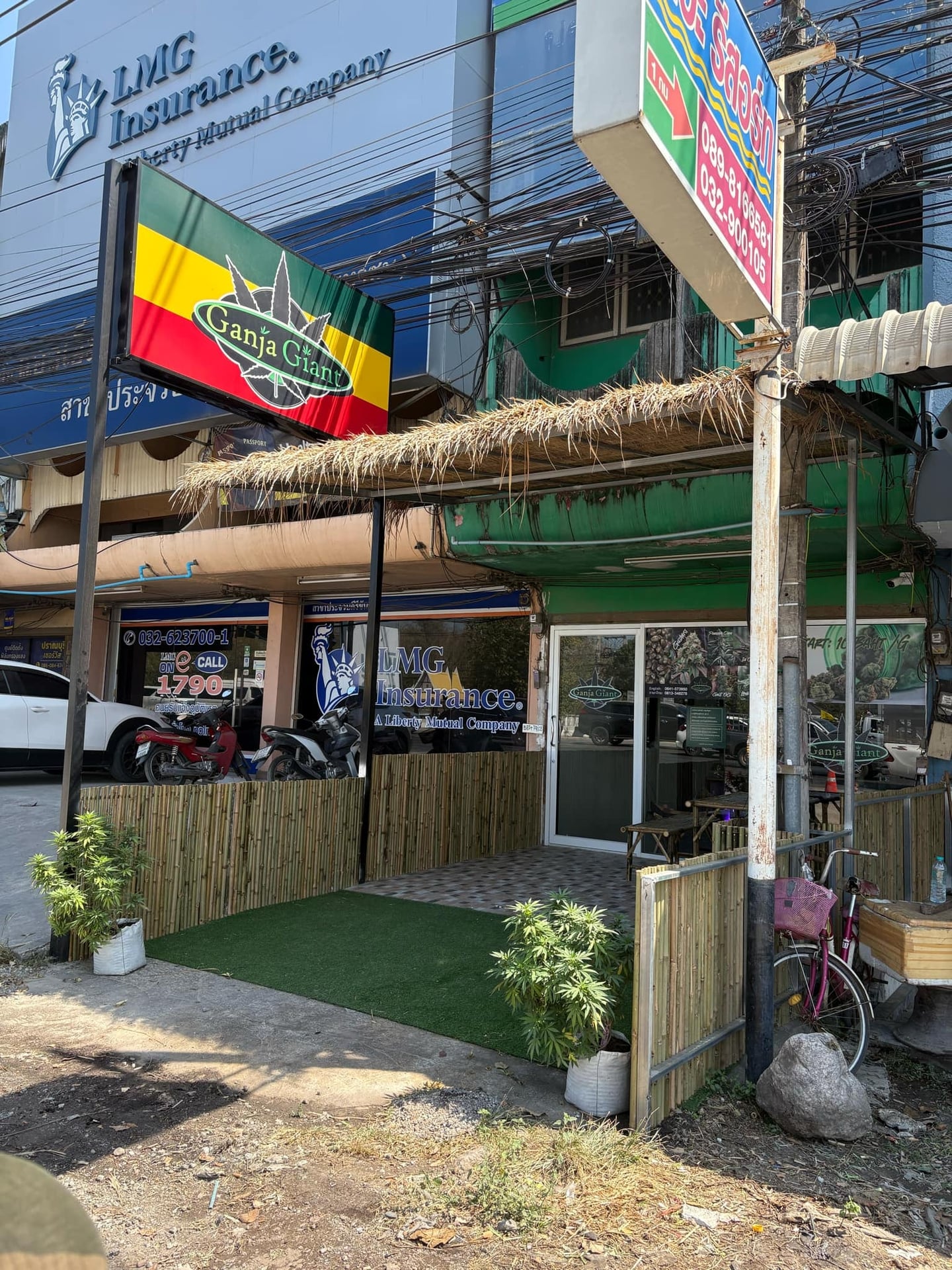 Ganja Giant 2, Pranburi