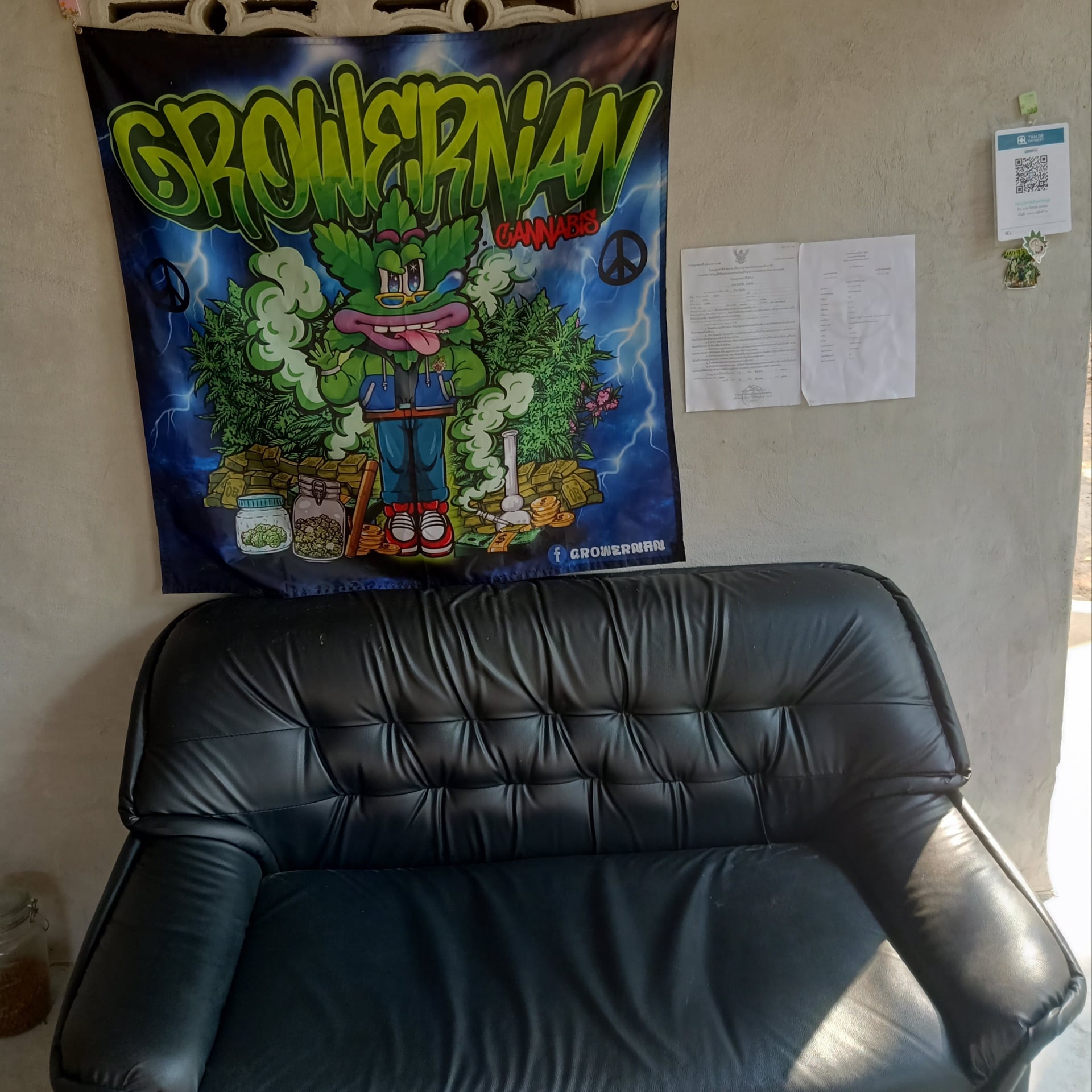 GrowerNan Cannabis X Seed