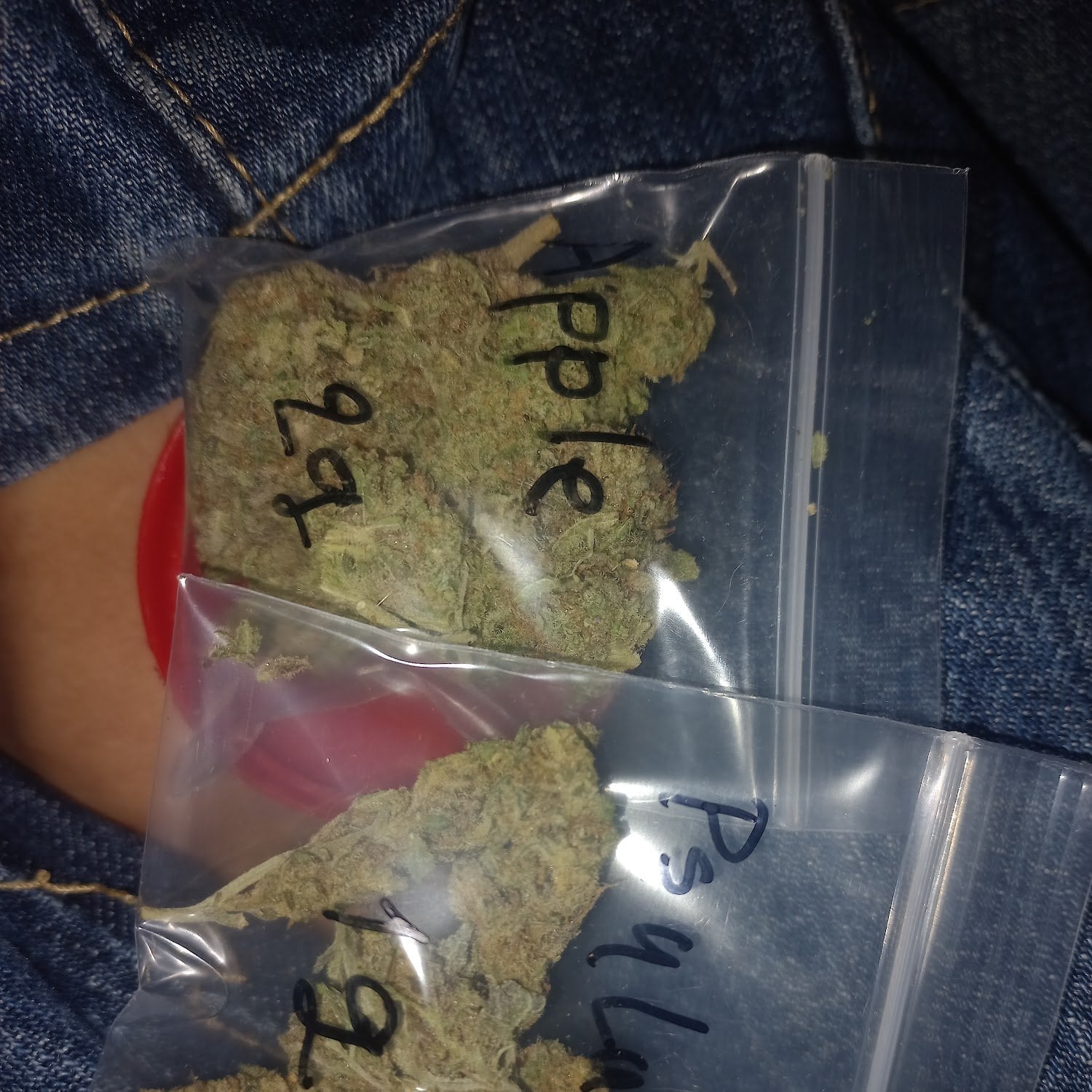 Wizard Cannabis Cafe