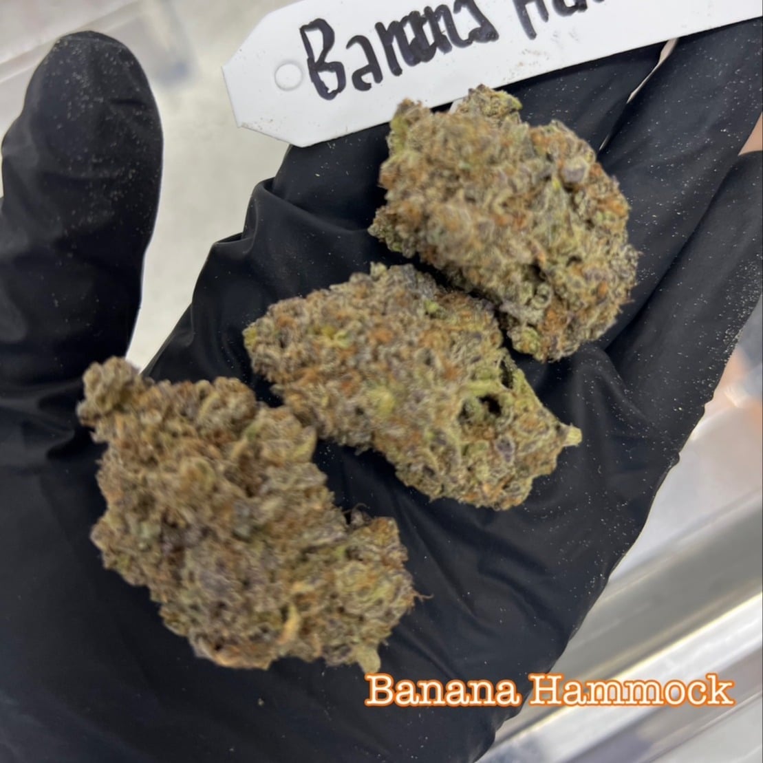 V High THC Cannabis Farm