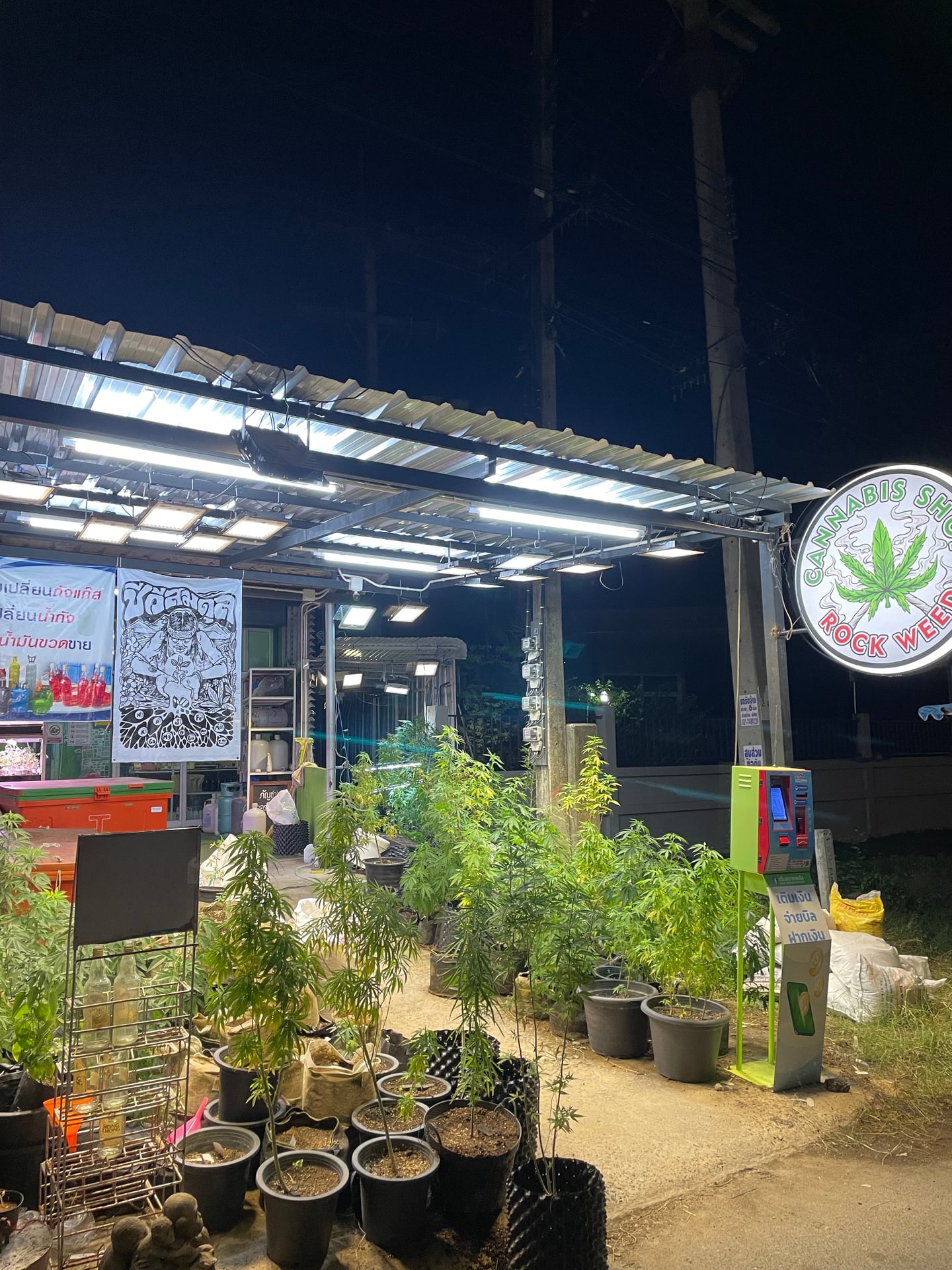 NGOGFarm