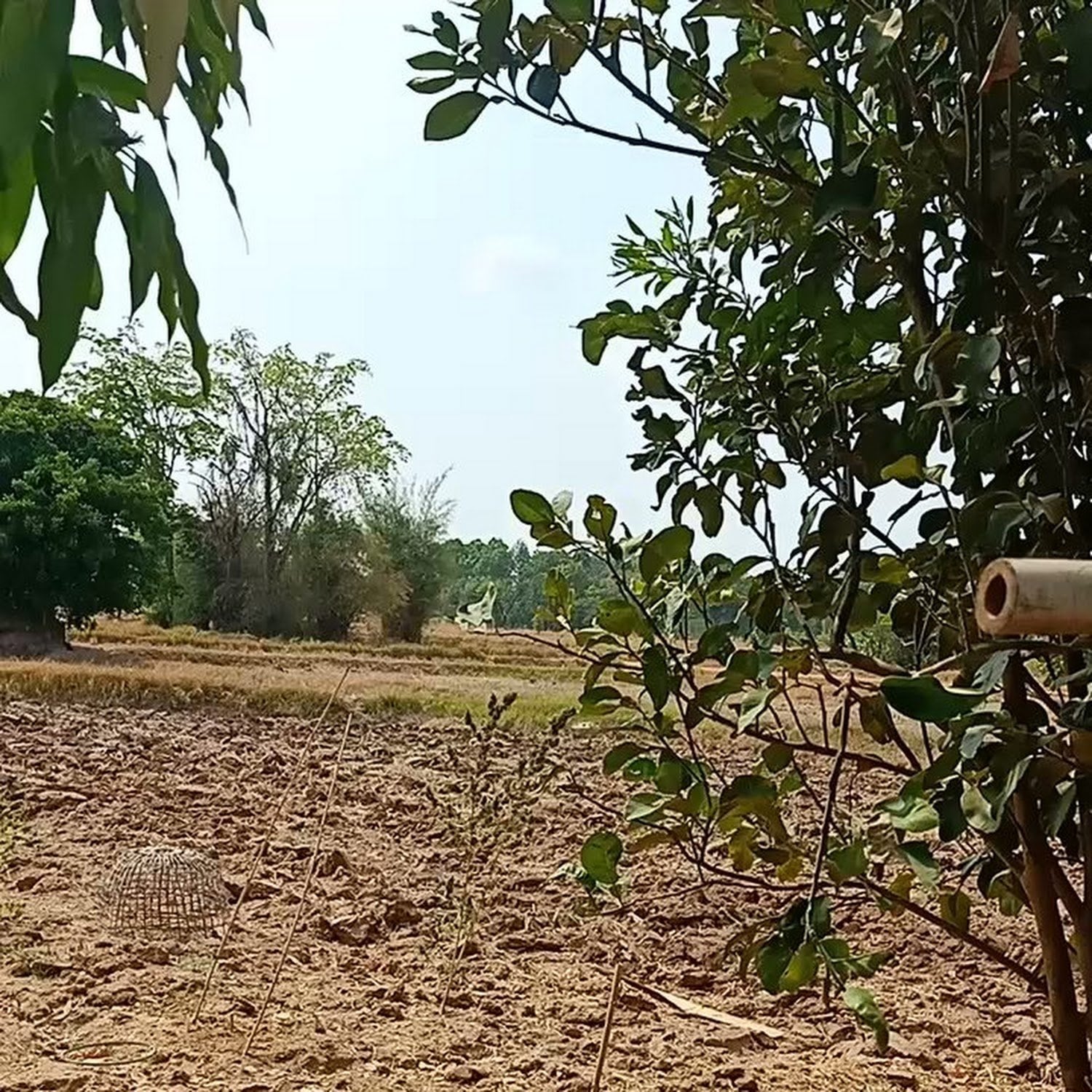Kay Khiri