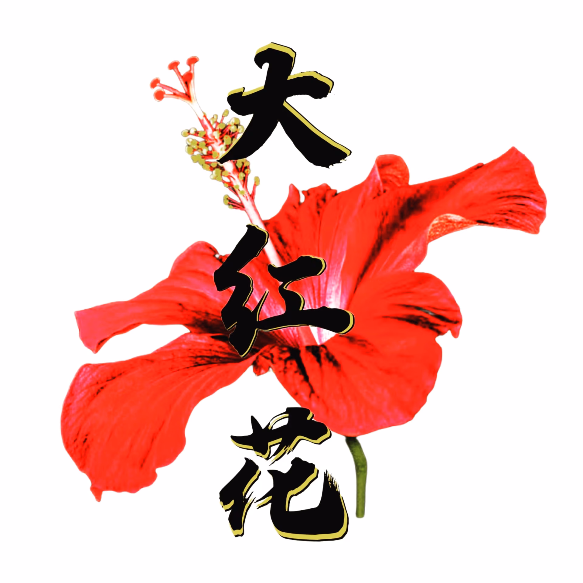 Konopná výdejna Da Hong Hua v Bangkok logo