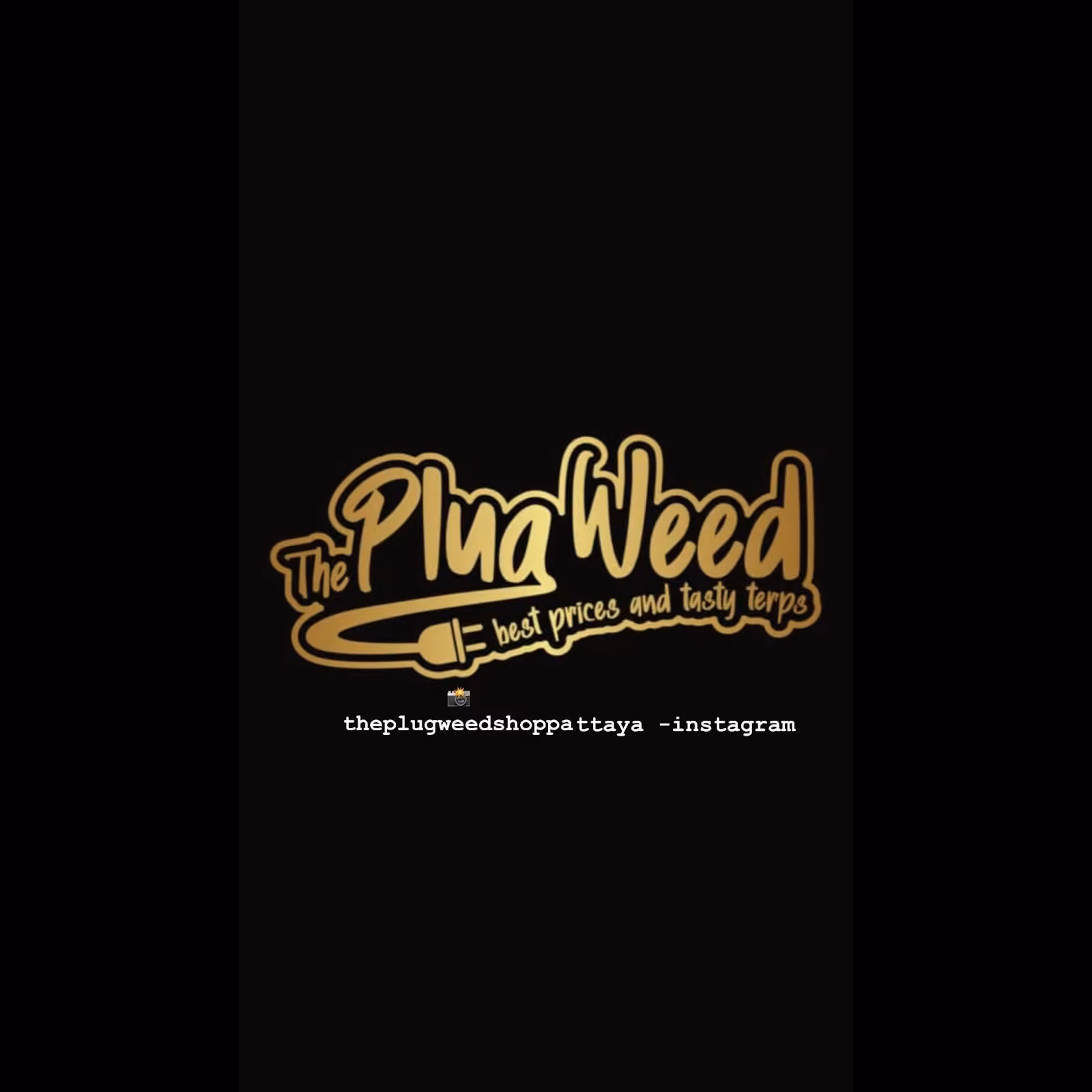 Pattaya์ ๋๋ง์ด ๋งค์ฅ The Plug Weed ๋ก๊ณ