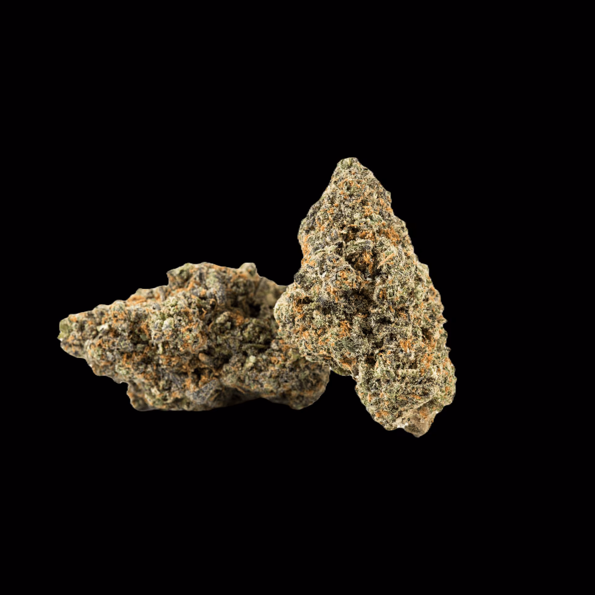 Bangkokの大麻ショップ Canaza Weed Shop - Bangkok Rama 9 - Dispensary Cannabis ロゴ