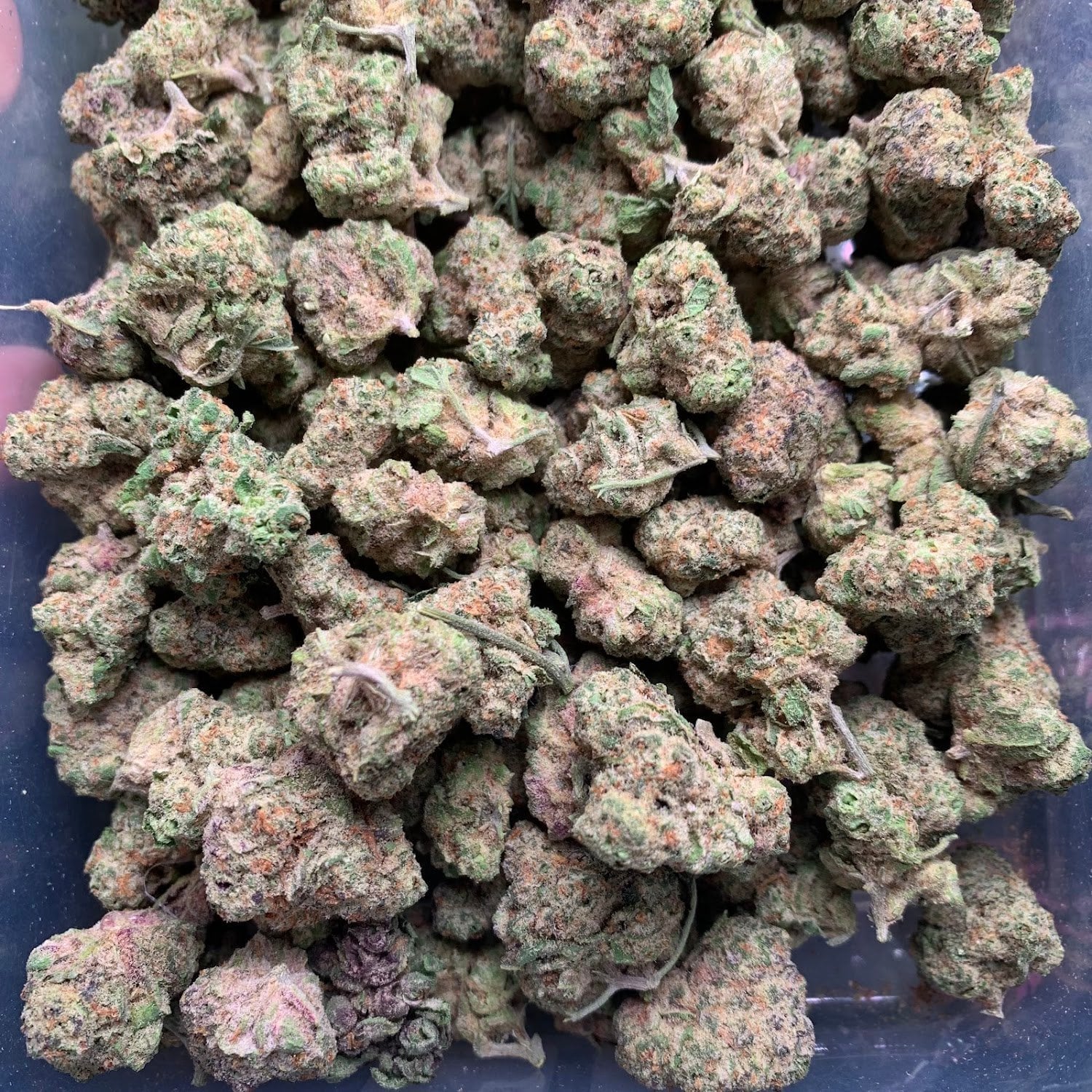 Space G