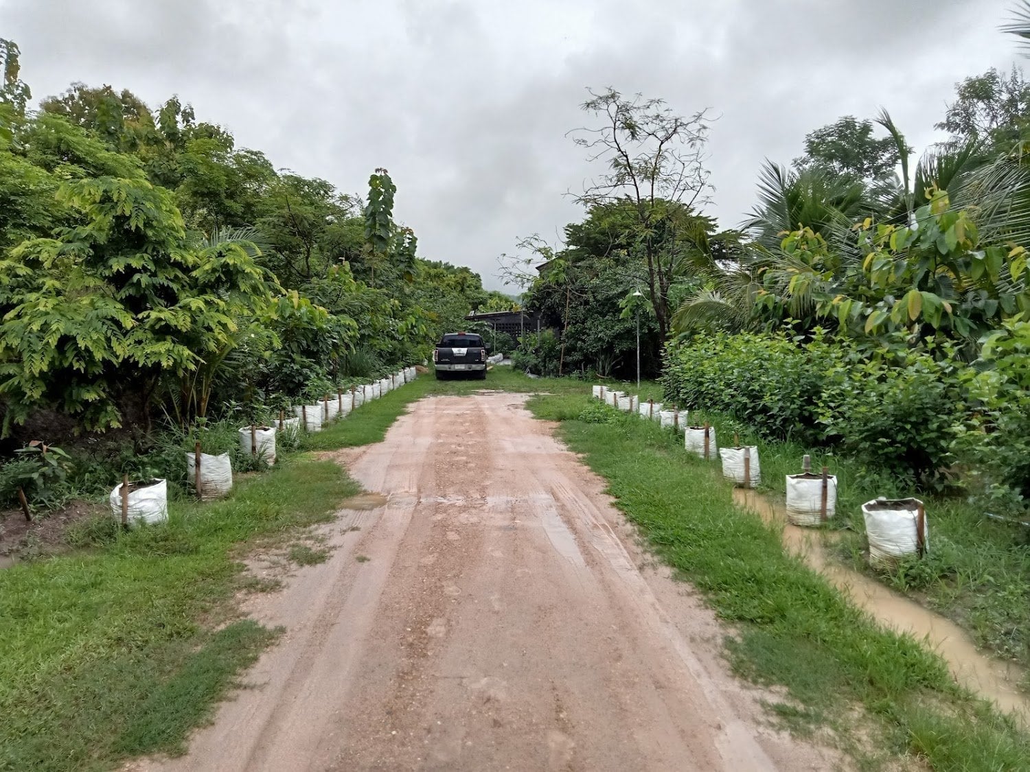 Farm Sukh