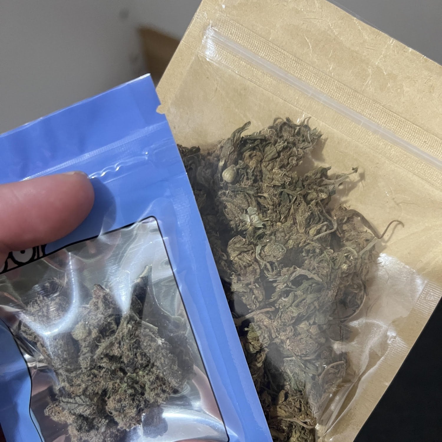 420 Afternoon