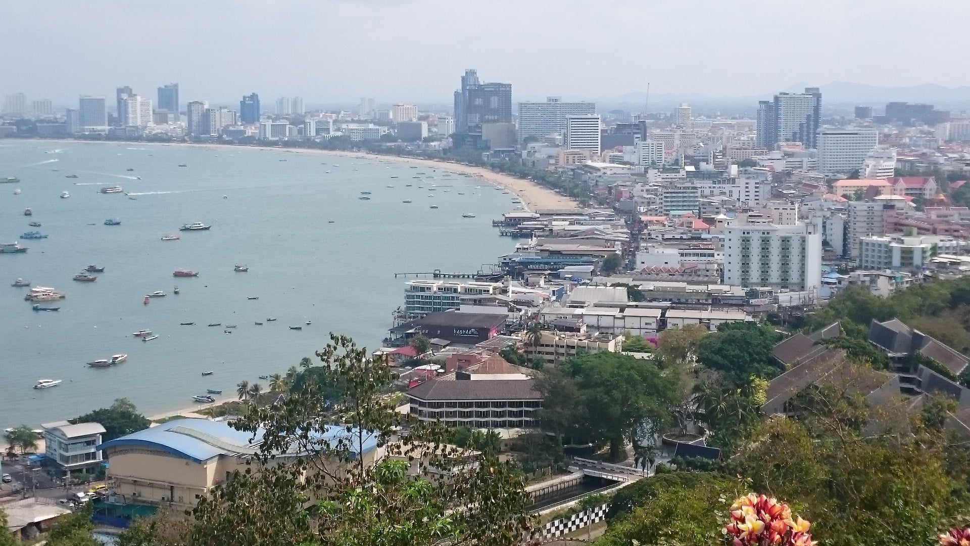Magic Cannabis Pattaya