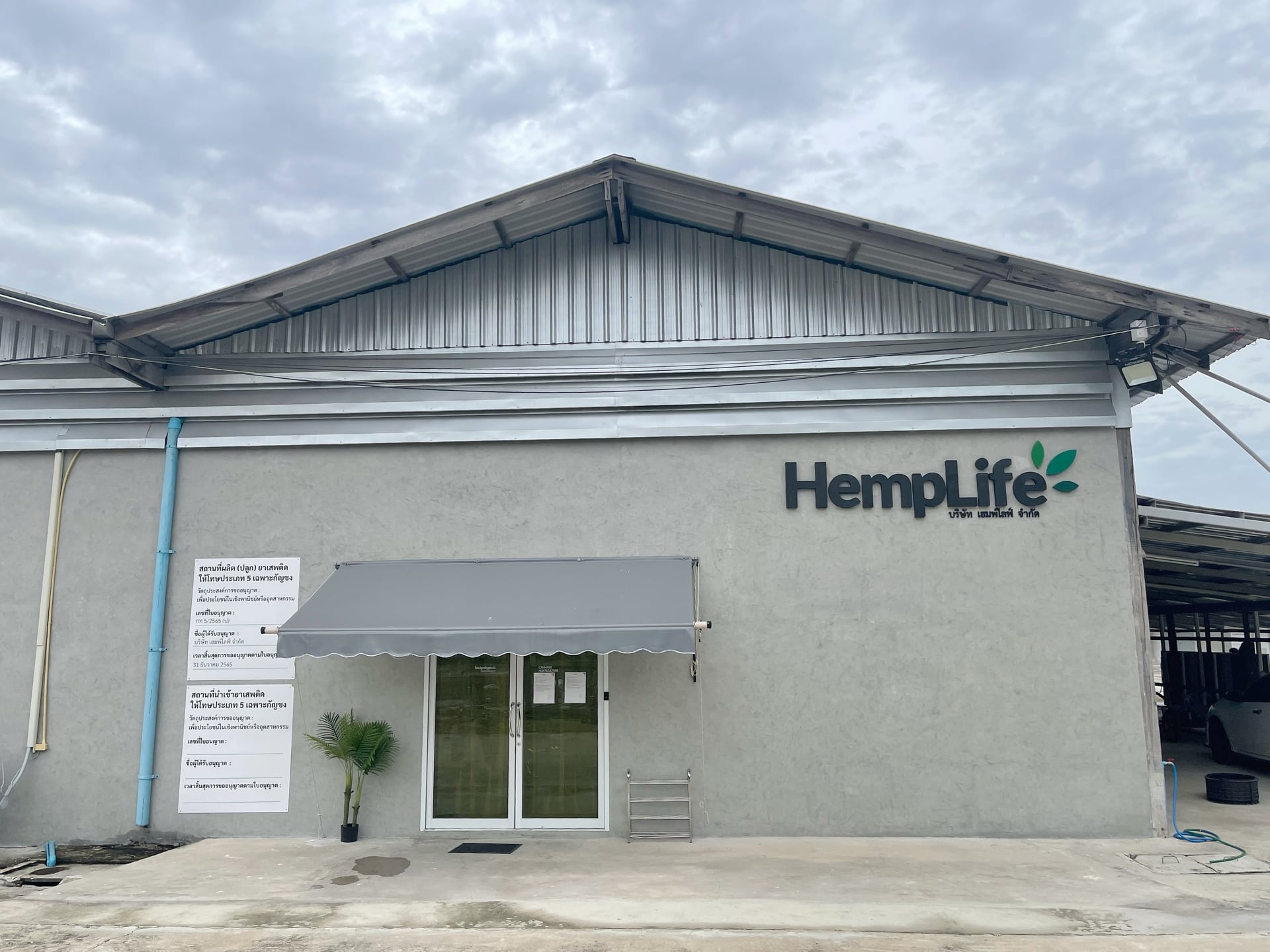 Hemplife.