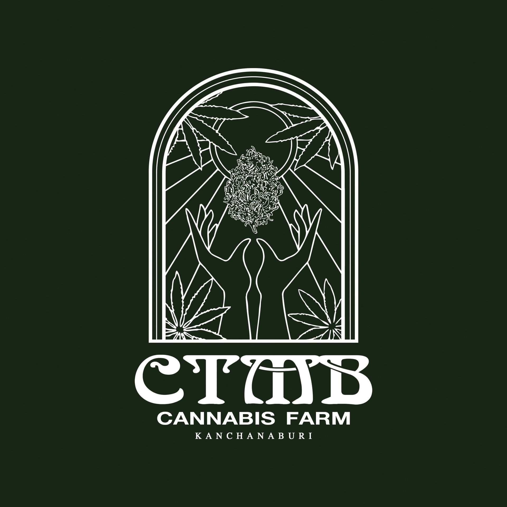 Konopná výdejna Ctmb. Cannabis Farm v Kanchanaburi logo